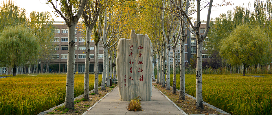 德信体育,德信体育官网